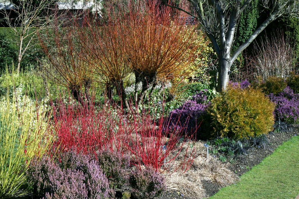 The winter gardens at Cambridge... © Stuart Logan cc-by-sa/2.0 ...