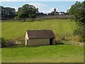 Animal shelter by the brook