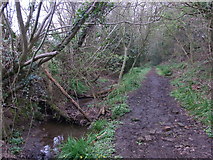 SP1863 : Path by small stream by Liz Stone