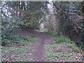 Gate across footpath