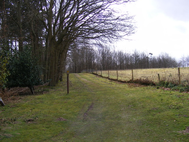 Path off the footpath to Botany Farm
