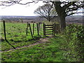 Footpath leading to a ruined farm