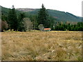 Shed in a field