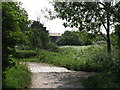 Footbridge over a drain in South Norwood Country Park