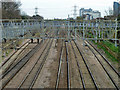 Great Eastern main line at Rabbits Road