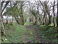 Llwybr cyhoeddus Bwlchygwynt / Bwlchygwynt  public footpath