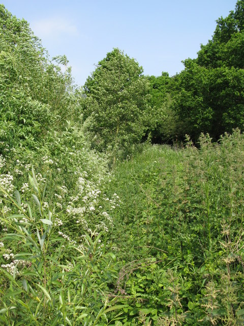 (The course of ) a tributary of the Chaffinch Brook - Elmers End Branch, South Norwood Country Park