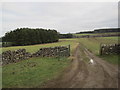 Unfenced Road leading to Frolic and Capheaton