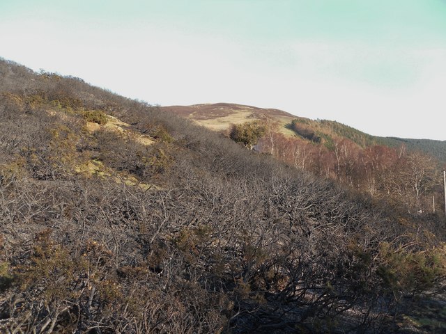 The remains of a Heath fire, Blakehope Hill