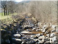 Rocky Nant Selsig, Blaencwm