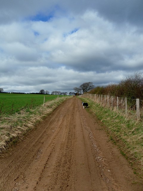 Legerwood to Polton Wood Track