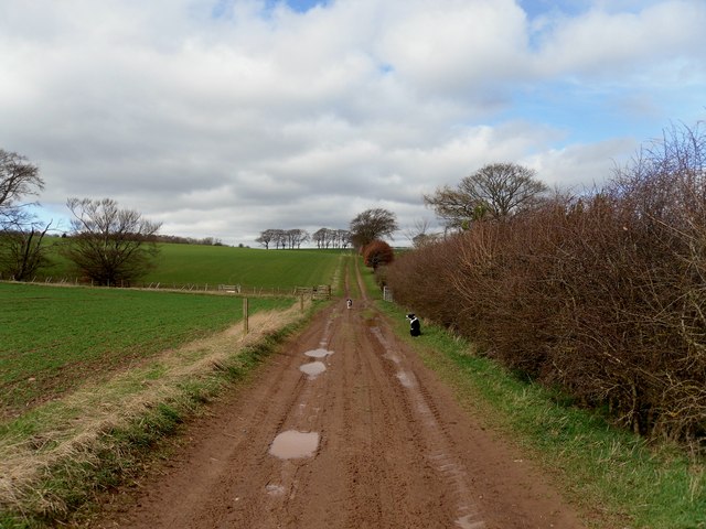 The Polton Wood Track