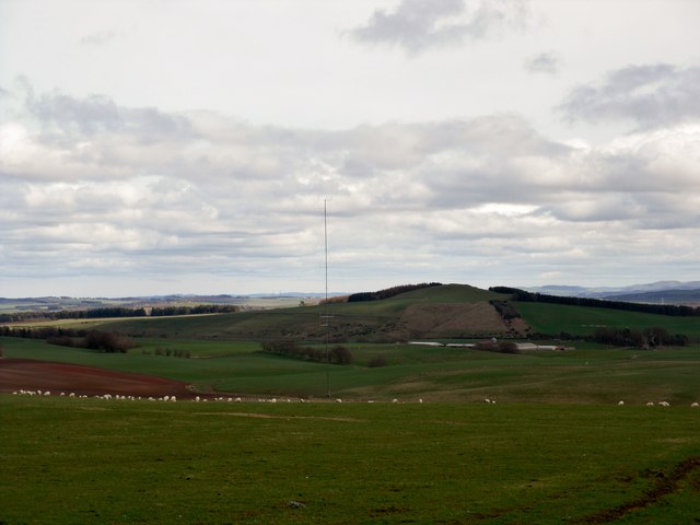 Looking to Knock Hill from Cribbs Law