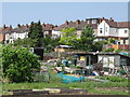 Beck Lane Allotments