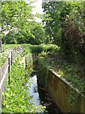 TQ3669 : The Chaffinch Brook - Elmers End Branch, east of Beck Lane, BR3 (2) by Mike Quinn
