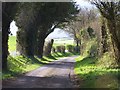 Lane near Little Somborne