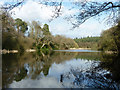 TQ1929 : Birchenbridge Pond by Robin Webster