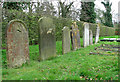 TG2109 : Earlham Road Cemetery by Evelyn Simak