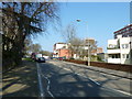 Lamppost in Palmerston Road