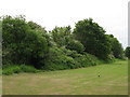 Monks Orchard Primary School playing field