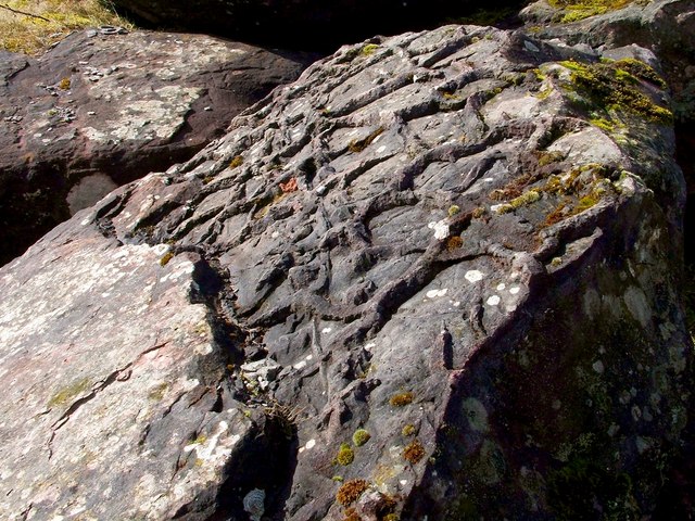 Traces of ancient mud cracks