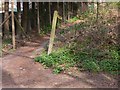 Footpath to Fittleworth Common from Sandy Lane