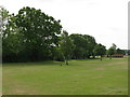 Ashburton Playing Fields, south of Bywood Avenue, CR0 (3)