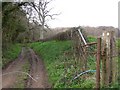 The Serpent Trail going west towards Coates Common