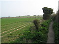 Footpath to Kingsdown