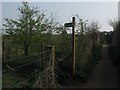 Footpath junction near Hawkshill Freedown