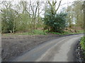 Footpath leading off Hurston Lane