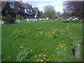 Green verge by A25, Godstone