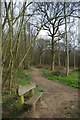 TL8727 : Seat & Chalkney Wood by Glyn Baker