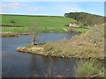 River Tweed