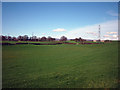 Pasture land, Cleveley Bank Farm