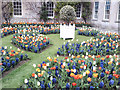 Dyrham House. New West Front Garden