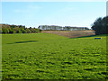 SU5328 : Farmland, Avington by Andrew Smith