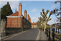 Trees on St Helen