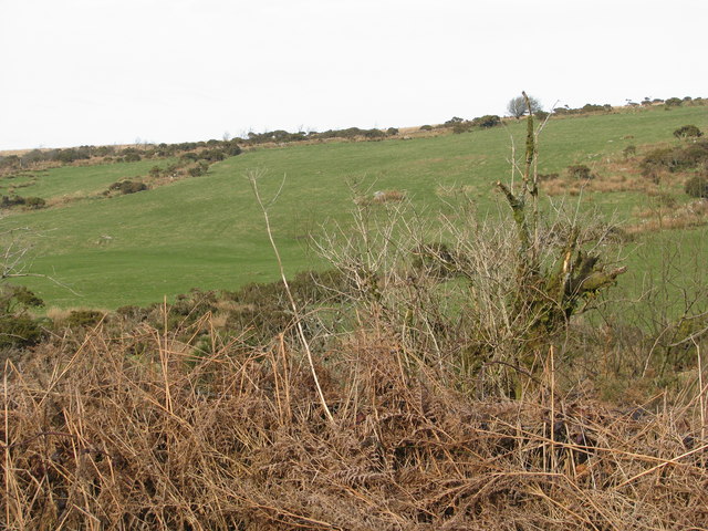 Moorland near St Lukes
