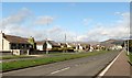 View northwards along Knockchree Avenue, Kilkeel