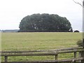 Warwickshire farmland