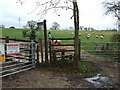 Gates and a footpath off Sanctuary Lane