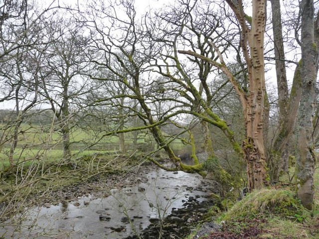 The River Ure