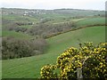 Landscape northeast of America Wood