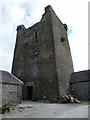 S1957 : Two-mile Borris Castle by dougf