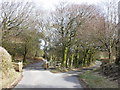 Farm access road, on Culbone Hill