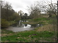 Pond at Barton