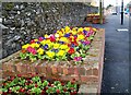 Flower beds in Lisburn Road, Hillsborough