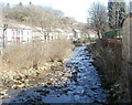 Rhondda Fawr river downstream from Blaenrhondda Park