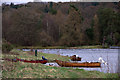 Boats on the shore of the Tay at Burnmouth Ferry, Stanley